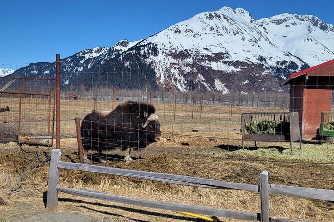 Wildlife Center with Lunch & Local Beer Sampling - Winter&Summer - Weather and Booking Considerations