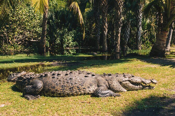 Wildlife Eco Tour on the coast of Oaxaca. - Key Points