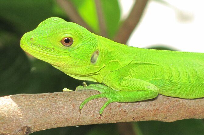 Wildlife Eco Tour on the coast of Oaxaca. - What’s Included and What to Consider