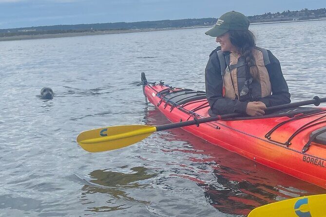 Wildlife Kayak Tour at Fort Flagler State Park - Wildlife Kayak Tour at Fort Flagler State Park: An Authentic Nature Escape