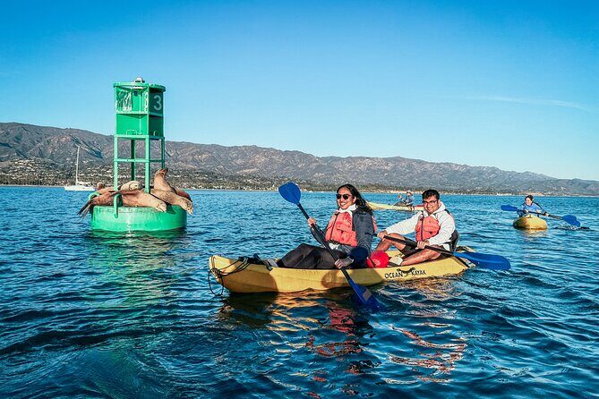 Wildlife Kayak Tour in Santa Barbara Harbor (2 Hours) - A Closer Look at the Santa Barbara Wildlife Kayak Tour