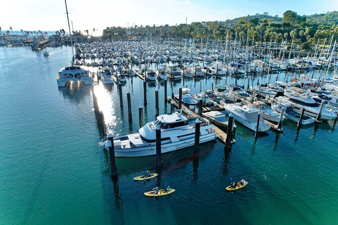 Wildlife Kayak Tour in Santa Barbara Harbor (2 Hours) - Final Thoughts