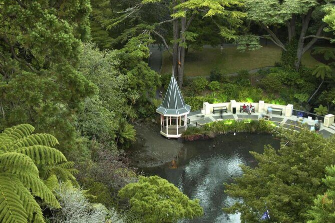 Wildlife Private Tour from Wellington Cruise Port - Key Points