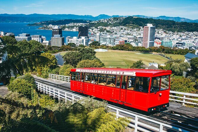 Wildlife Private Tour from Wellington Cruise Port - Final Thoughts: Is This Tour Right for You?