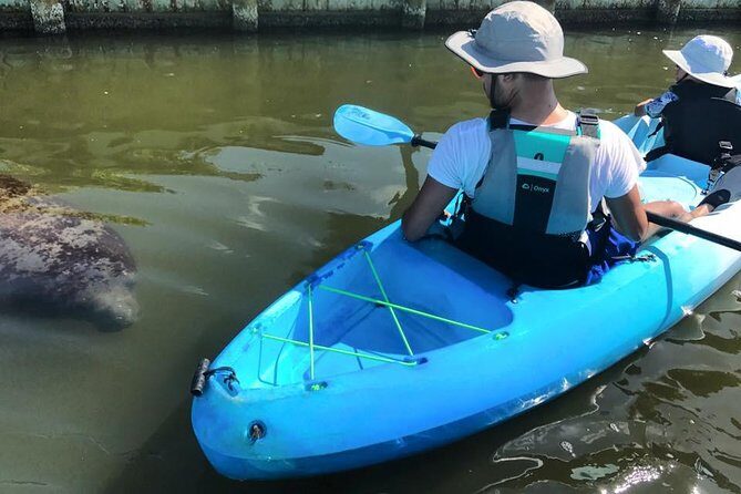 Wildlife Refuge Manatee, Dolphin & Mangrove Kayak or Paddleboarding Tour! - What to Expect: The Experience in Detail