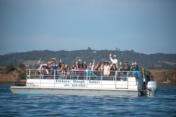 Wildlife Safari Boat Tour in Scenic Monterey Bay Wetland - Key Points