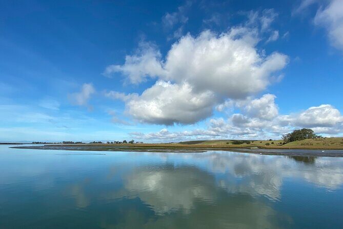 Wildlife Safari Boat Tour in Scenic Monterey Bay Wetland - What Makes This Tour Stand Out?