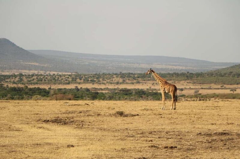 Wildlife safari: Dar Es salaam - Mikumi NP: 2 Days - Key Points