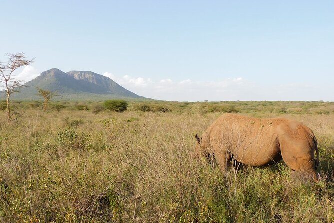Wildlife Safari Tanzania - The Sum Up