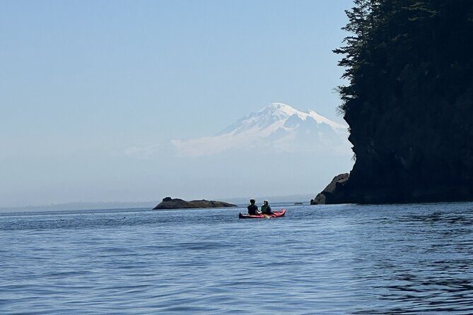 Wildlife Spotting Kayak Adventure on Orcas Island - Exploring the Orcas Island Kayak Wildlife Tour