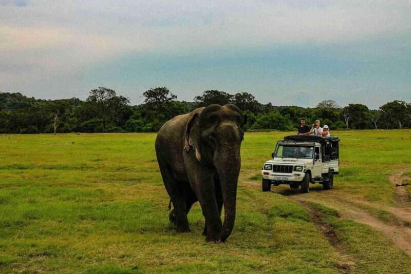 Wildlife Sri Lanka: 10-Day All-Inclusive Luxury Tour - Final Thoughts