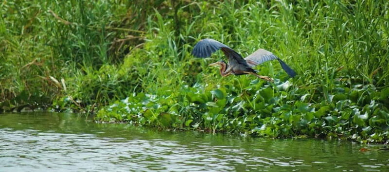 Wildlife Sri Lanka: 10-Day All-Inclusive Luxury Tour - FAQ