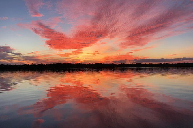 Wildlife Tour of Indian River Lagoon with Experienced Captain - The Experience’s Value for Money