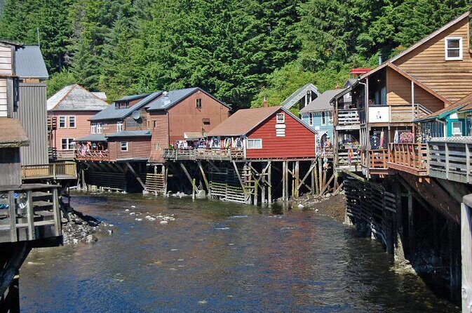 Wildlife Viewing and Whale Watching Quest - Key Points
