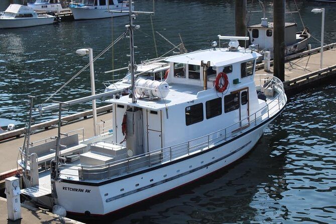 Wildlife Viewing and Whale Watching Quest - Final Thoughts