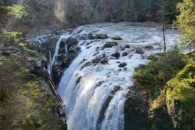 Wildlife, Waterfalls, Caves, Old Growth on Vancouver Island - The Sum Up