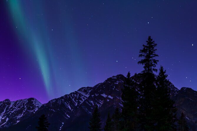 Wildlife Wild Skies: Jasper Planetarium Combo - A Closer Look at the Experience
