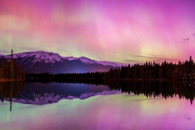 Wildlife Wild Skies: Jasper Planetarium Combo - The Sum Up