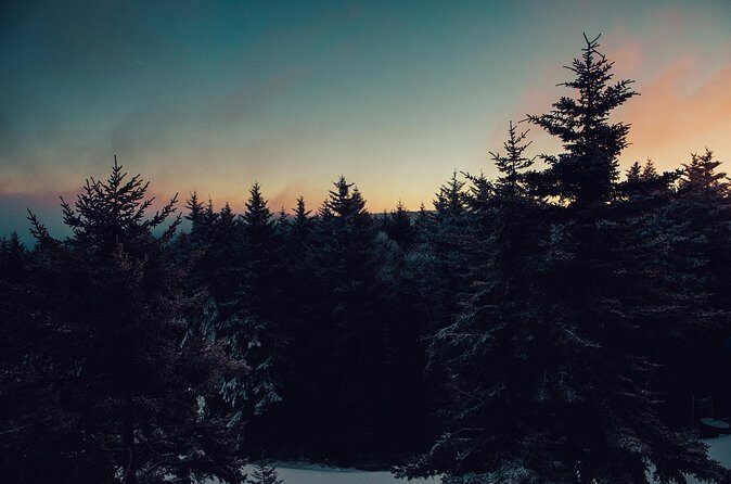 Wildlife Wild Skies: Jasper Planetarium Combo - Frequently Asked Questions