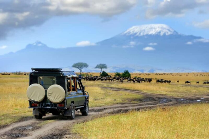 Wildlife Wonders: A 3-Day Safari to and from Arusha. - Practical Tips