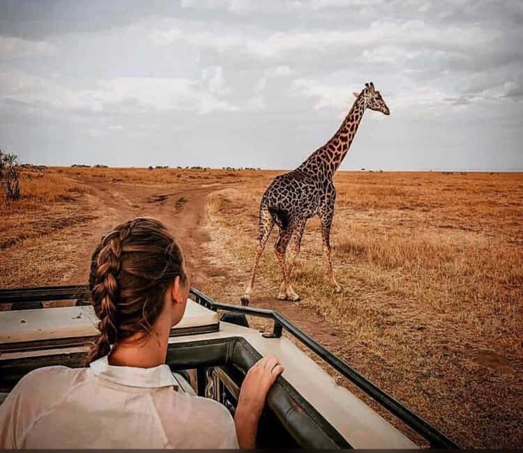 Wildlife Wonders migration private Expedition - An Authentic Look at the 7-Day Tanzania Safari