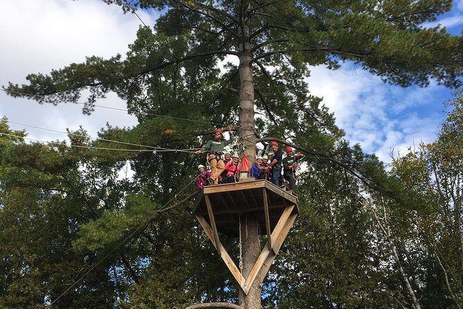 Wildman Zip Line Tour - Practical Tips for Your Zipline Adventure