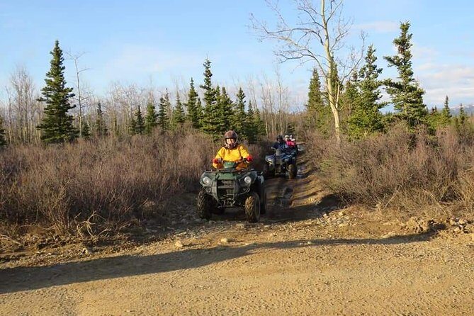 Wilds of Alaska Classic ATV Adventure - Reviews – What Travelers Say