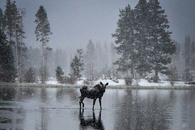Wildside 4X4's Winter Wonderland Photo Tour - What Travelers Are Saying: Authentic Perspectives
