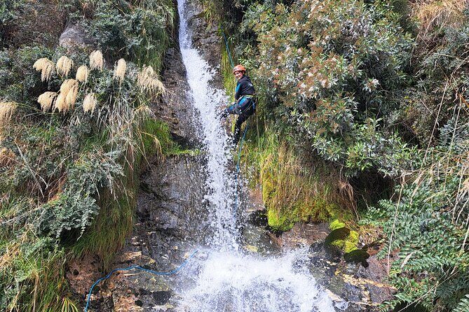Wildwire Wanaka- Climb & Canyon (4-5 Hours) - An In-Depth Look at the Wildwire Wanaka Climb & Canyon Experience