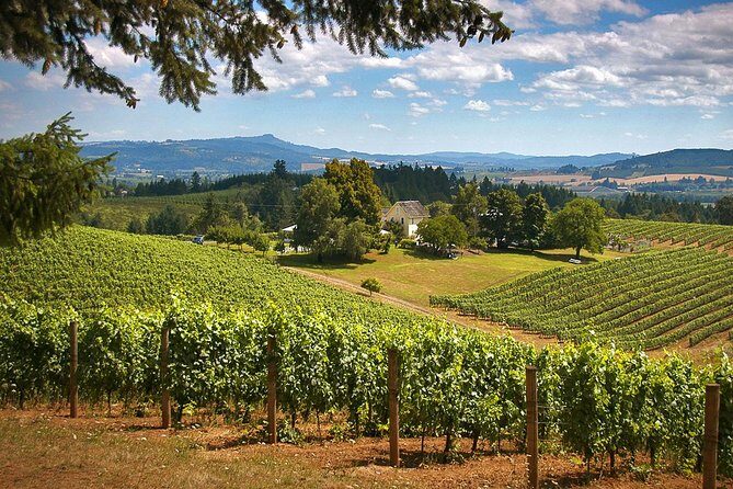 Willamette Valley Wine Tasting Tour from Portland - Exploring the Willamette Valley Wine Tasting Tour from Portland