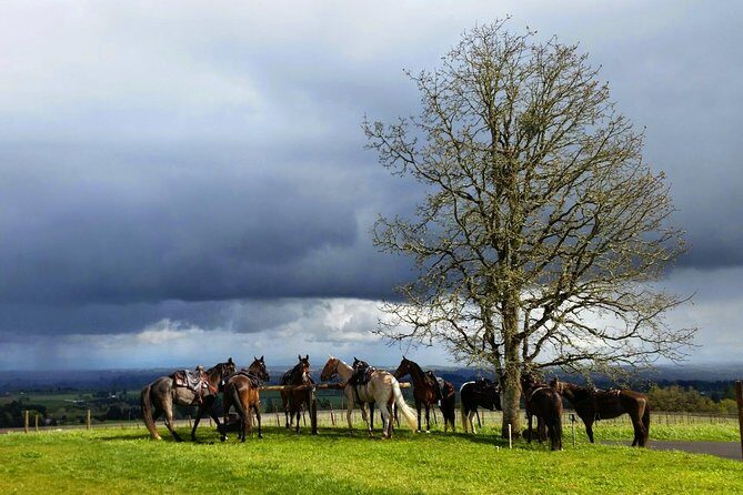Willamette Valley Wine Tour from Portland - Final Thoughts