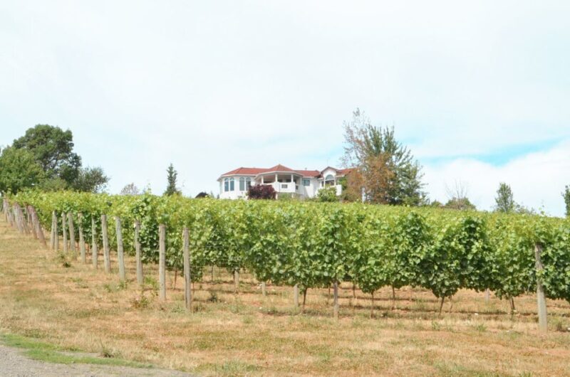 Willamette Valley Wine Tour - Introduction