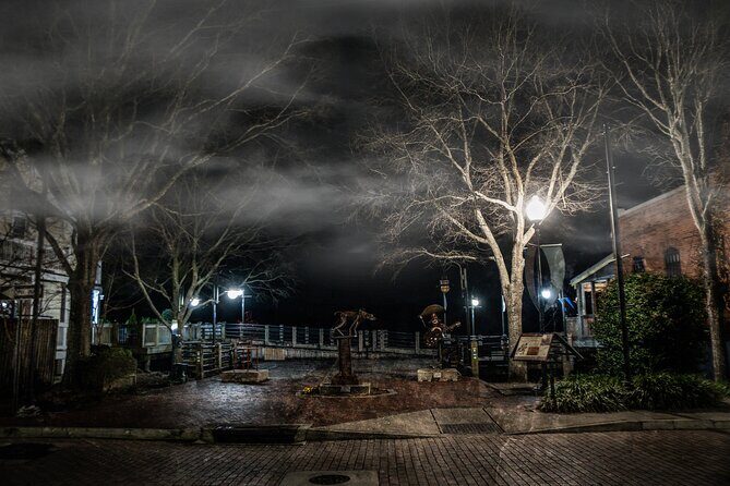 Wilmington Ghosts: Phantoms of Pirates and Patriots Tour - What the Reviews Say