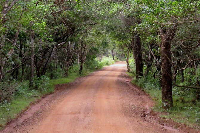 Wilpattu National Park Entrance Ticket with Private Safari - FAQs