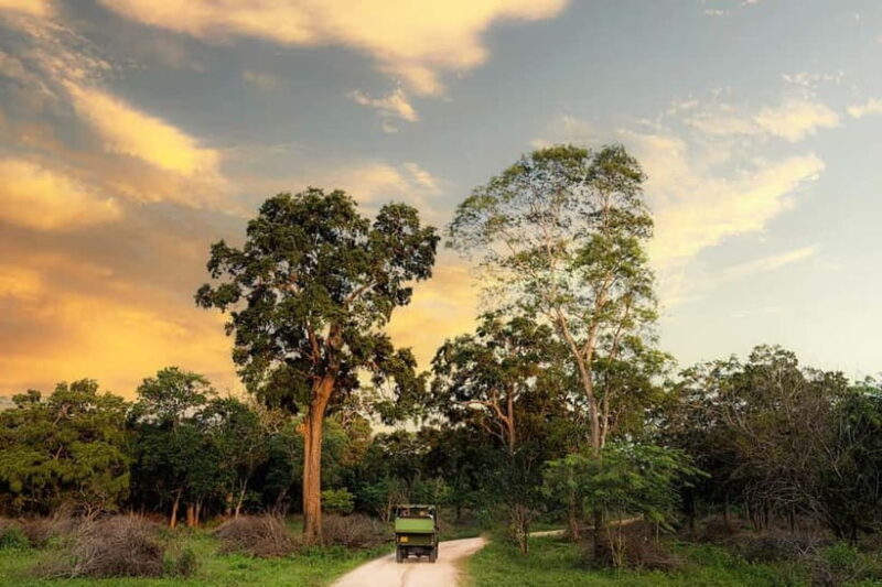Wilpattu National park - Full day Safari (06:00am - 18:00pm) - What to Expect During the Tour