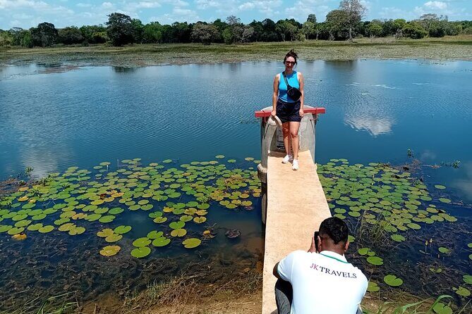 Wilpattu National Park Leopard safari from Colombo/Negambo - An In-Depth Look at the Wilpattu Safari Experience