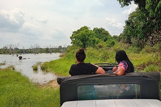 Wilpattu National Park Leopard safari from Colombo/Negambo - FAQ