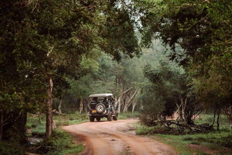 Wilpattu National Park: Private Safari - The Appeal for Different Travelers