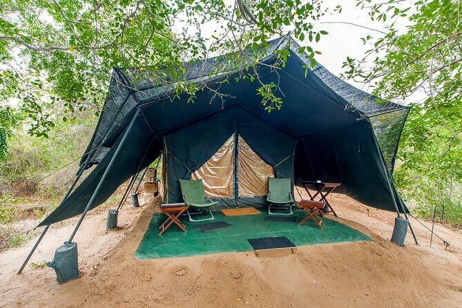 Wilpattu National Park | Private Safari - Final Thoughts: Is It Worth It?