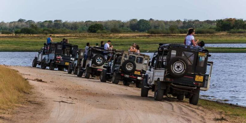 Wilpattu National Park Safari Tour from Colombo - Who This Tour Is Best For
