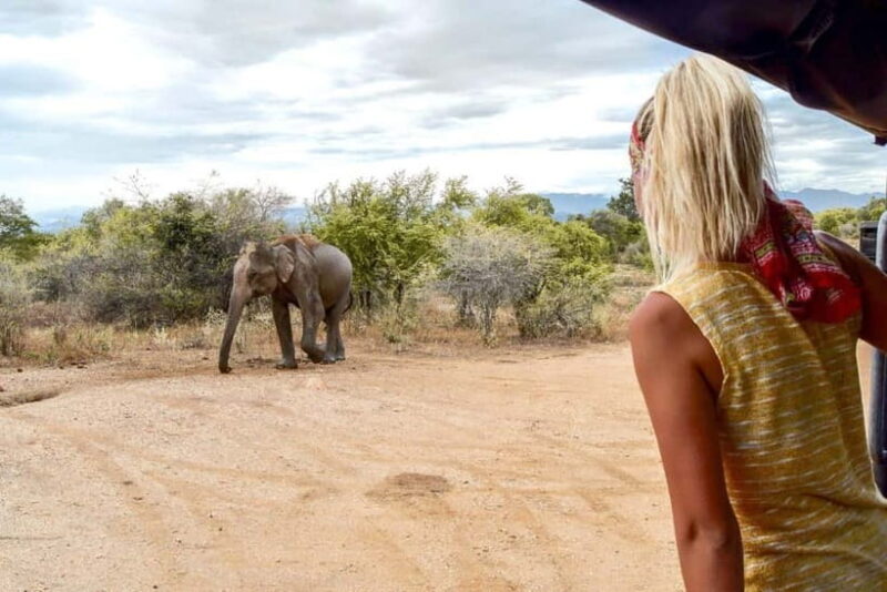 Wilpattu: Private Safari Day Trip with Lunch & Entry Fees - A Close Look at the Wilpattu Private Safari Day Trip