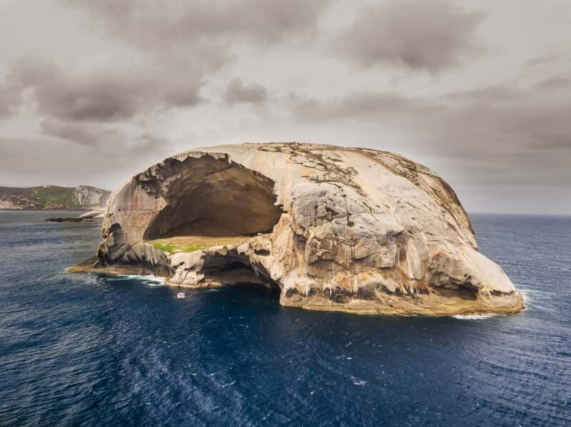 Wilsons Promontory: Afternoon Wilderness Cruise - An In-Depth Look at Wilsons Promontory: The Experience