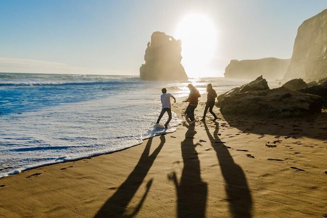 Wilsons Promontory Day Trip from Melbourne - Transportation and Comfort