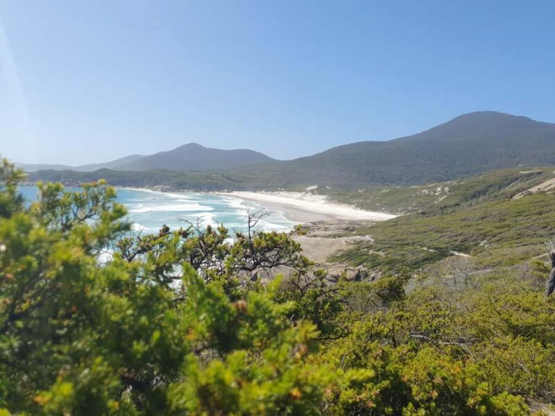 Wilsons Promontory National Park Day Trip - An In-Depth Look at the Wilsons Promontory Experience