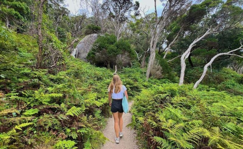 Wilson's Promontory National Park Eco Tour From Melbourne - Who Should Consider This Tour?