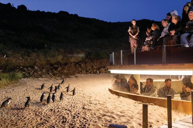 Wilson's Promontory & Phillip Island - 'Prom & Penguins' Tour - Who is This Tour Best Suited For?