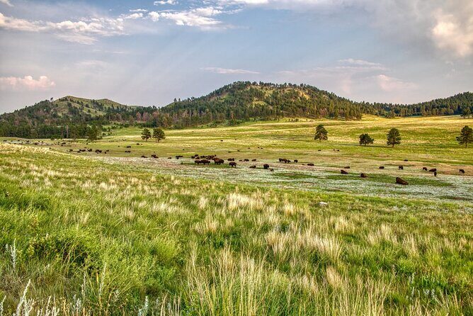 Wind Cave National Park Self-Guided Audio Tour - Why Consider a Self-Guided Tour?