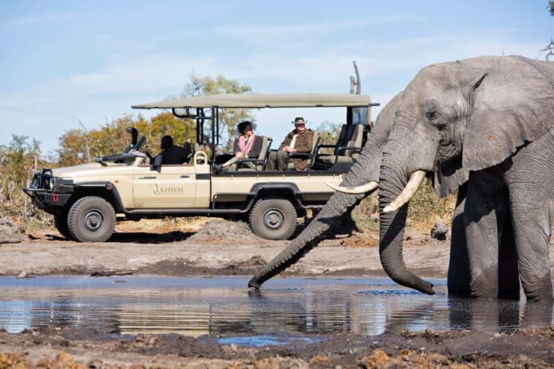 Windhoek: 5-Day Private Etosha Safari with Accommodation - What Makes This Safari Stand Out?