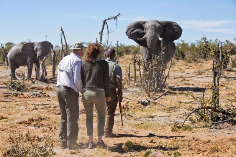 Windhoek: 5-Day Private Etosha Safari with Accommodation - What’s Included and What’s Not?