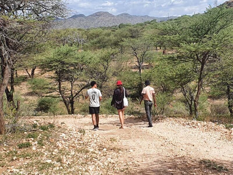 Windhoek: Bushman Walk with the San - Key Points